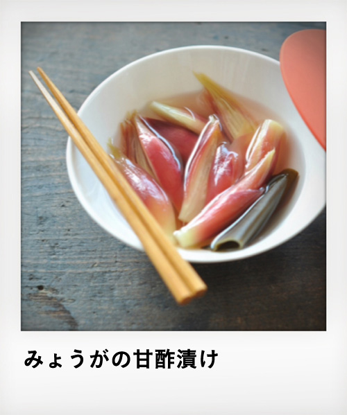 �݂傤���̊Ð|�Ђ�