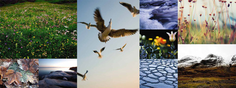 新しいランドリーデザインブランド発表のお知らせ