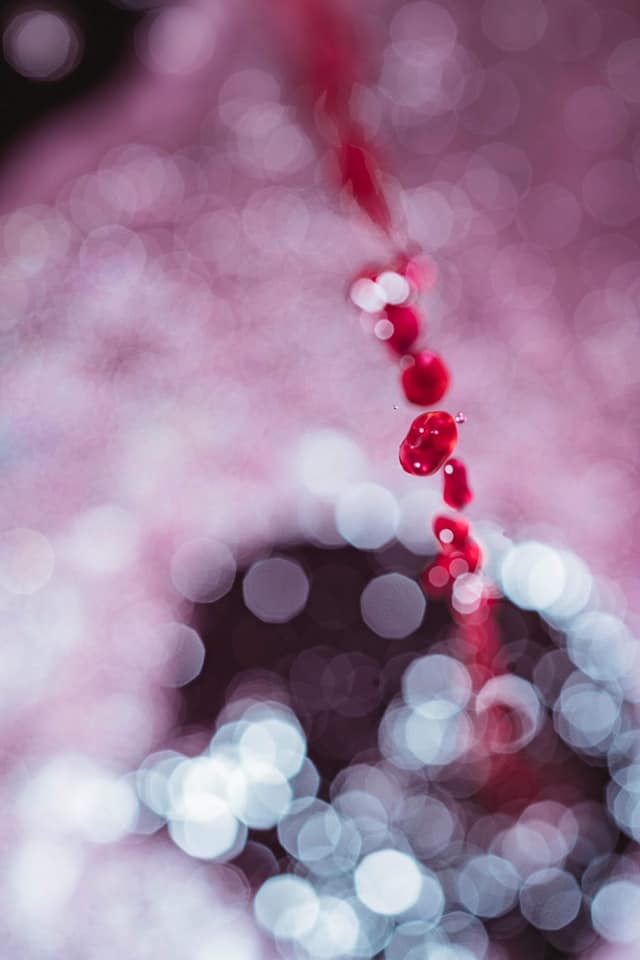 TV放映：美の壷（MGVsワイナリー）